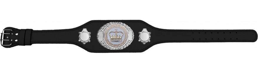 GRAPPLING CHAMPIONSHIP BELT-BUD295/S/GRAPS-4 COLOURS